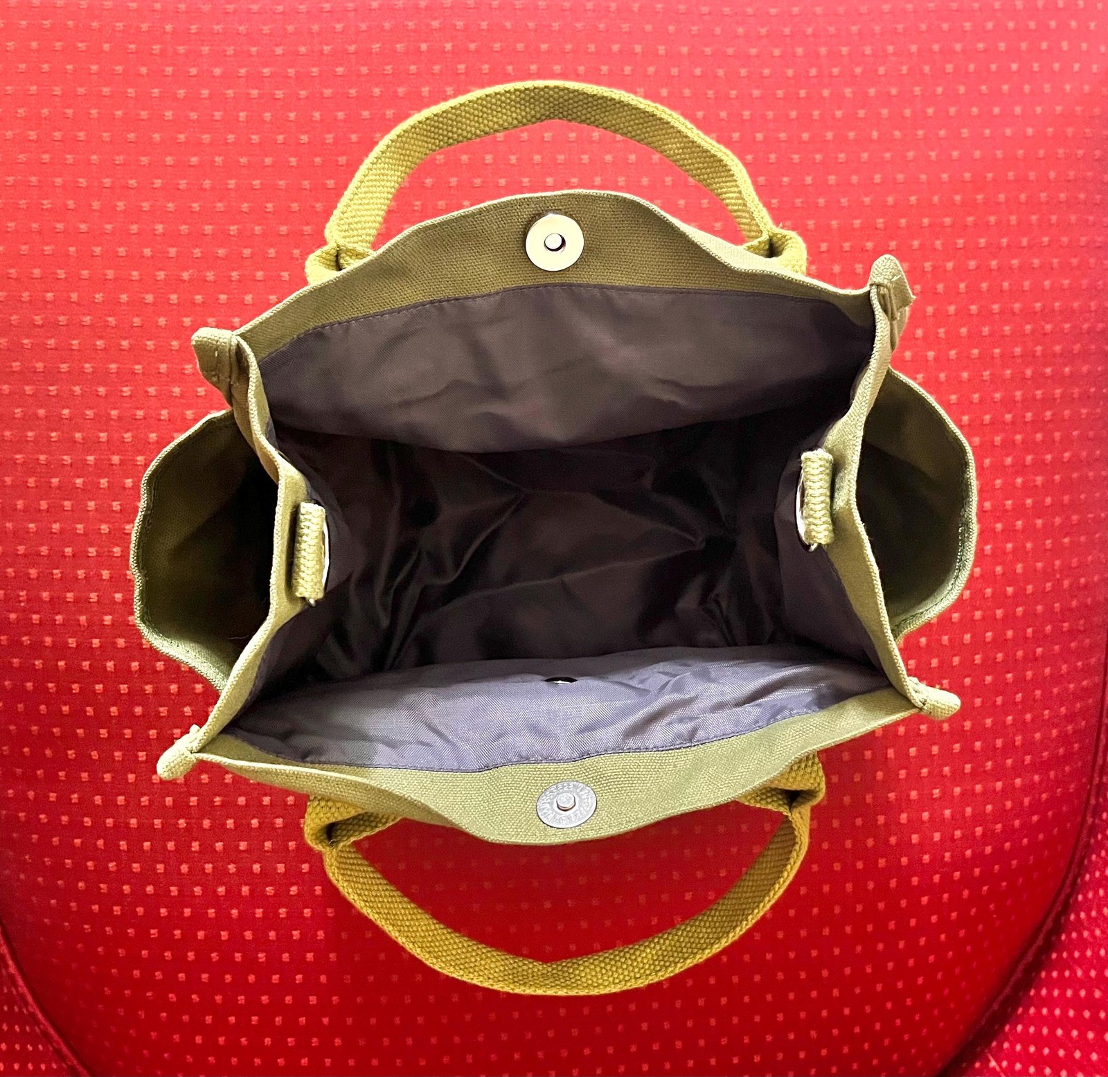 Inside Matcha Cat Tote