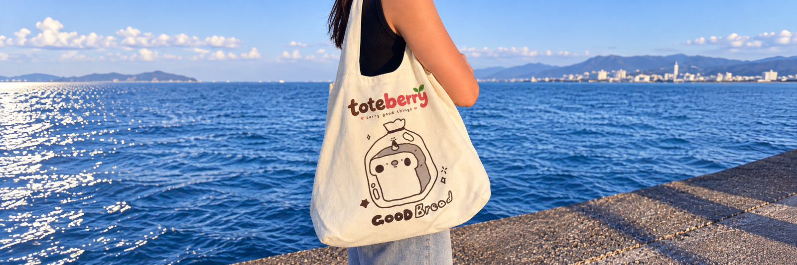 Toteberry banner slide 3